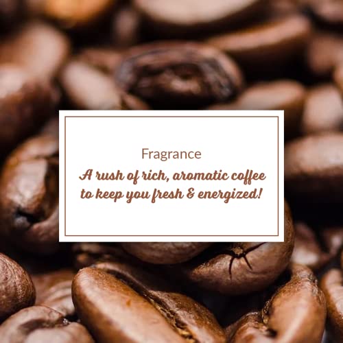 Plum Coffee Exfoliating Body Wash, With Arabica Cofee Seed Oil & Kokum Butter, Sulfate, Paraben & Soap Free, Coffee Oil Polishes The Skin, Cleansing And Nourishing Dry Skin For Women & Men, 7.05 Fl Oz #TOP2