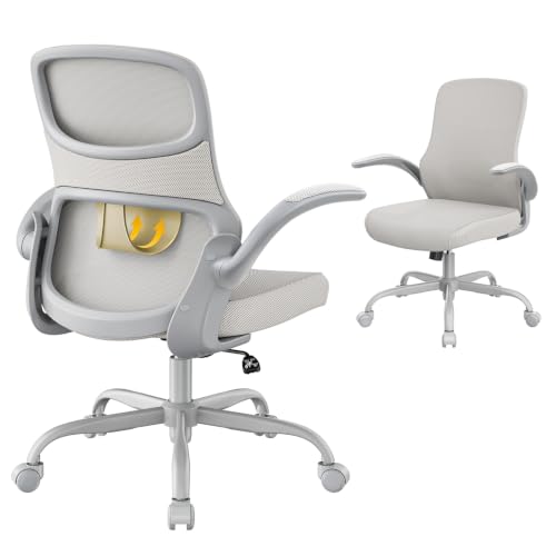 premium ergonomic chair review product image