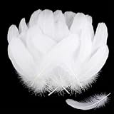 SUNRIZ Federn Zum Basteln, 600 Stück Weiße Federn, Natürliche Deko Bastelfedern für DIY Ohrring, Traumfänger,Handwerkskunst, Flaumfedern für Hochzeit, Ostern, Weihnachten