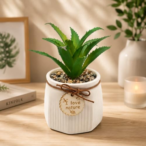 Image of Artificial Aloe Vera Plant with Ceramic Pot | Fake Succulent with Decorative Pebbles & Wooden Tag | Indoor Table Decor | Home Office Desk Plant | 16 cm