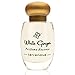 Terranova White Ginger Perfume Essence