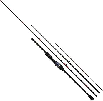 Amazon | ダイワ(DAIWA) 船竿 極鋭マルイカEX RS | ダイワ(DAIWA Amazon | ダイワ(DAIWA) 船竿 極鋭マルイカEX RS | ダイワ(DAIWA