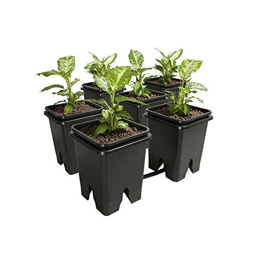 Active Aqua GFOE3 Expansion Kit