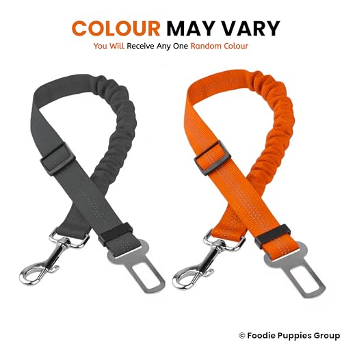 Image of Foodie Puppies 3-in-1 Reflective Dog Car Safety Harness Leash with Adjustable Bungee Seat Belt Strap, 360 Swivel Carabiner & Quick Release Buckle for Safe Car Travel, Walking (Colour May Vary)