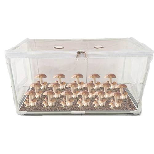 19.7x9.8x9.8 in Still Air Box Clear Mushroom Grow Tent with Ventilation Holes & Top Zipper Reusable Pop-up Monotub for Indoor Outdoor