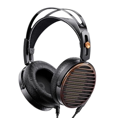 FiiO FT7 有線ヘッドホン Amazon.co.jp: FIIO FT7 Black FIO-FT7-B【日本正規販売店より発送