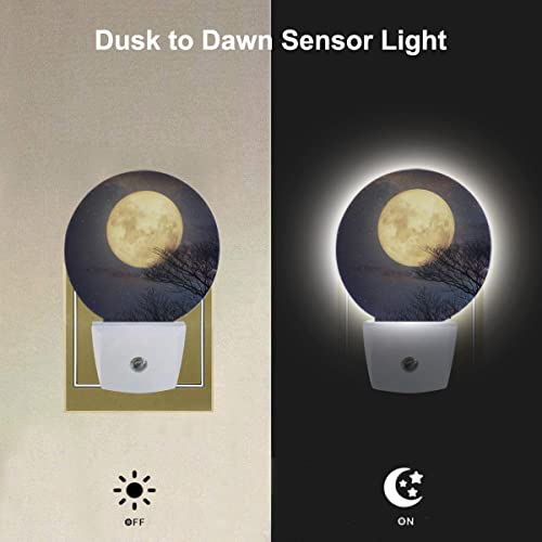 Image of EKOBLA Full Moon Night Light, Moon Above Treetop Starry Sky Night Lights Plug Into Wall with Auto Sensor for Bathroom and Hallway