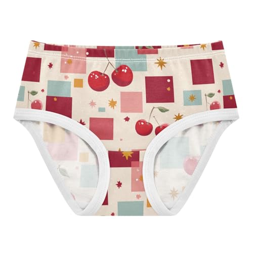Wusikd Cherry Squares Girls' Underwear Cotton Stars (2) Girls Briefs Soft Toddler Underwear 2T