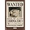 Amazon.com: Trends International One Piece - Roronoa Zoro Wanted Poster ...