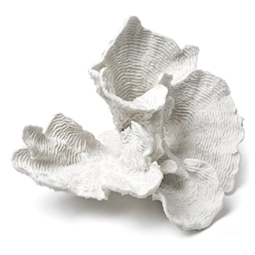 Abbott Collection Home Decor, Small (5