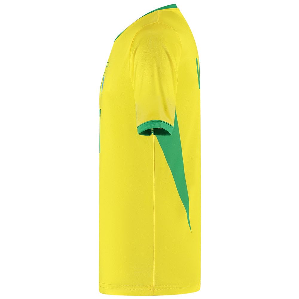 Maillot De Foot Brésil Domicile Vini JR. - Enfants et Adultes - Ensemble Foot