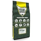griffon bleu de gascogne mantova Yourdog Griffon Bleu de Gascogne cibo per cani per adulti