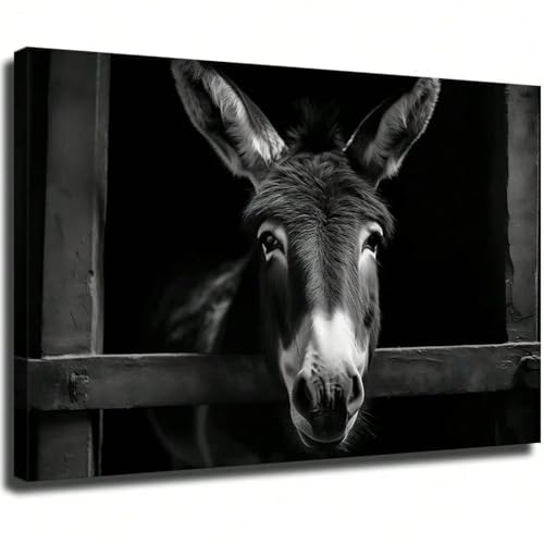 Toile âne drôle en noir et blanc 40x60 cm affiche sans cadre esthétique