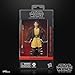 STAR WARS The Black Series Jedi Knight Yord Fandar, The Acolyte Collectible 6 Inch Action Figure