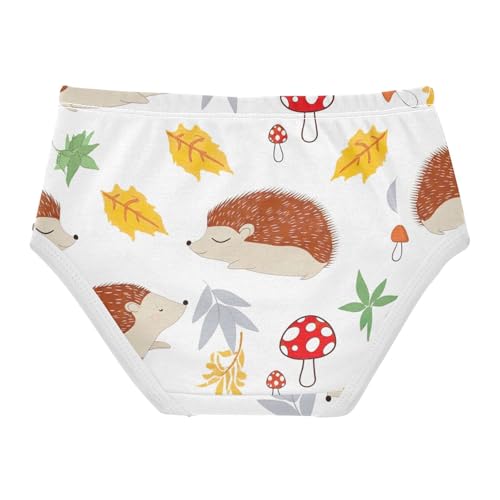 Cotton Toddler Underwear Floral Cute Hedgehogs White Cute Panties Girl Flower Kids Briefs Undies 2t2