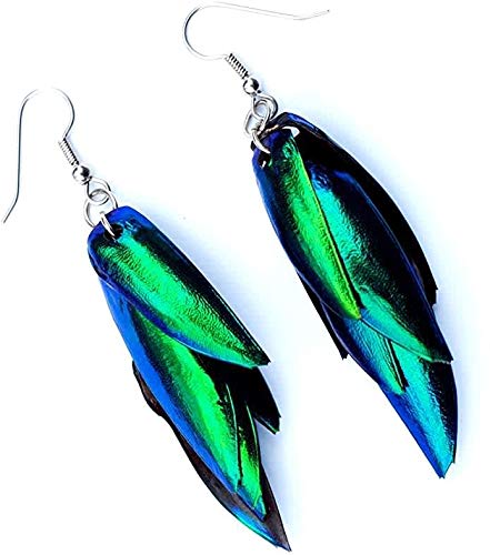 Real Beetle Wing Earrings Jewel Beetle Bug Insect Wings Iridescent Blue Green Earrings Handmade