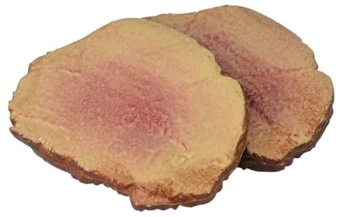 Props4shows Plastic Roast Beef Slices - Pack Of 2