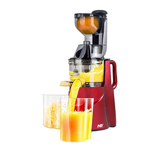 Slow Masticating Juicer Cold Press Juice Extractor Nama, 43 OFF