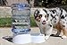 PetFusion H2O Gravity Pet Water Dispenser. Durable 2.5 Gallon Waterer Feeder. Automatic Station for Cats & Small, Medium, Large Dogs, Transparent