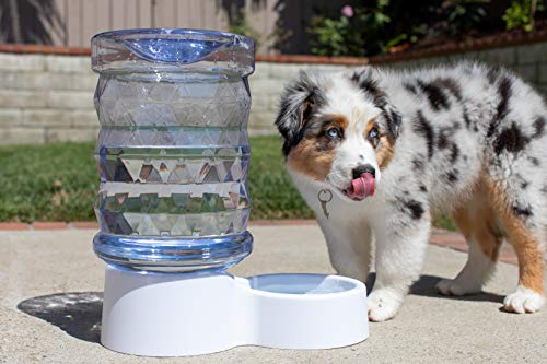 PetFusion H2O Gravity Pet Water Dispenser. Durable 2.5 Gallon Water Feeder. Automatic Water Station for Cats & Small, Medium, Large Dogs, Transparent (PF-GW1) - Image 3