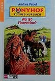  Ponyhof Kleines Hufeisen, Bd.3, Wo ist Florentine?