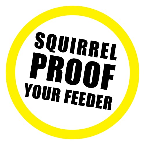 image for Scram, Squirrel by Slinky, Squirrel-Proof Bird Feeder Accessory that G