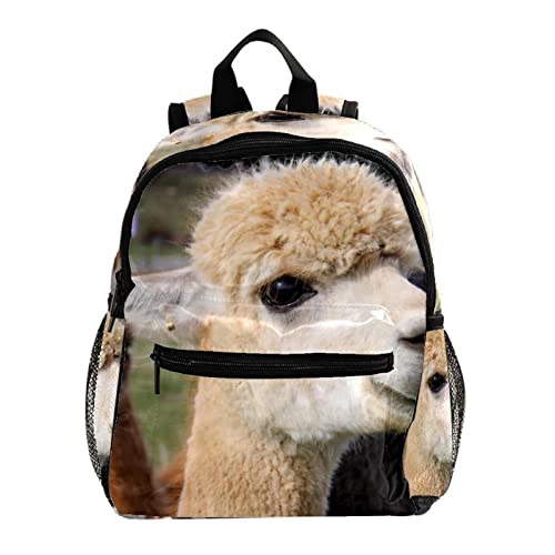 Sac à dos enfant motif alpaga mignon - Bagage scolaire léger et confortable pour filles et garçons