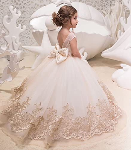 Lovely Flower Girl Dress Tulle lace Applique Princess Wedding Pageant Ball Gown3