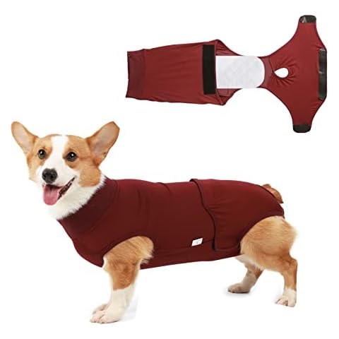 Blue Dream Island Dog Recovery Suit for Dogs Cats After Surgery, Professional Pet Recovery Shirt Abdominal Wounds Bandages Substitute E-Collar & Cone Dog Onesies (XS-Red) Cover