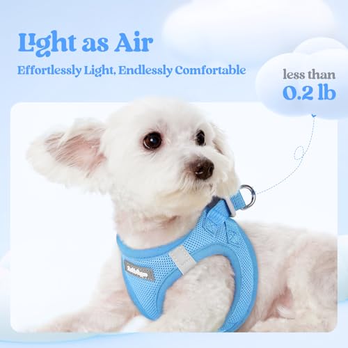 Image of rabbitgoo Dog Harness Small Sized and Leash Set, Step-in Puppy Pet Vest