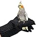 Sonhomay Bird Training Anti-Bite Gloves, Hand Protection Parrot Chewing Working Safety Protective Gloves for Cockatiels, Small Animals Handling Gloves Chewing Protective Gloves