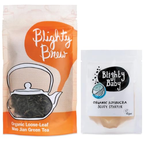 Kombucha Starter Kit - SCOBY & Certified Organic Mao Jian Green Tea - Blighty Baby - Make Your Own Booch Kombucha - Includes 75g Loose Leaf Tea - Symbiotic Culture of Bacteria & Yeast