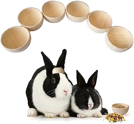 Wooden Stacking Cups for Rabbit- a Natural Alternative to Plastic Cups! Bunny Enrichment Treat Toys Safe chew Hide Food Play for Small Animal Pet Guinea Pig Chinchillas Parrot-6 Pack(Burlywood)