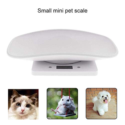 Bilancia Digitale per Animali,AIITLLYNA Mini
