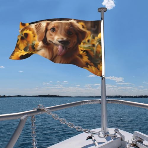 Drapeau extérieur double face solide qui ne décolore pas au soleil