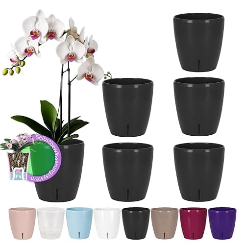 SANTINO 6er-Set Selbstbewässernder Topf mit Dochtsystem und Wasserstandsanzeige für den Innenbereich, Orchideentopf D 12cm (Anthracite, 1,3L)