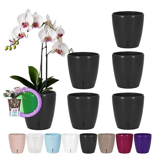SANTINO 6er-Set Selbstbewässernder Topf mit Dochtsystem und Wasserstandsanzeige für den Innenbereich, Orchideentopf D 12cm (Anthracite, 1,3L)
