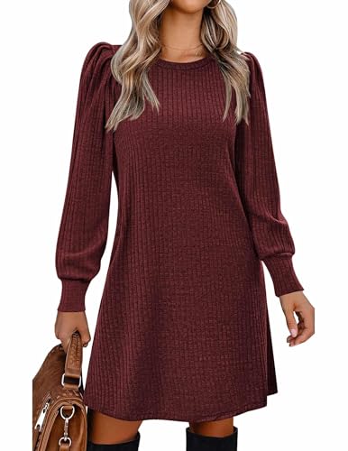 Zeagoo Womes Long Sleeve Dress Knitted Sweater Dress Fall Outfits Winter Lightweight Tunic Dress,...