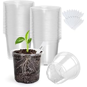 Bonviee Clear Nursery Pots with Drainage Holes, 3/4/5 Inch, 36-Pack
