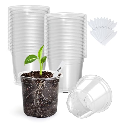 Bonviee Clear Nursery Pots with Drainage Holes, 3/4/5 Inch, 36-Pack