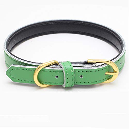 Collares Gatos Cuero Marca teemerryca