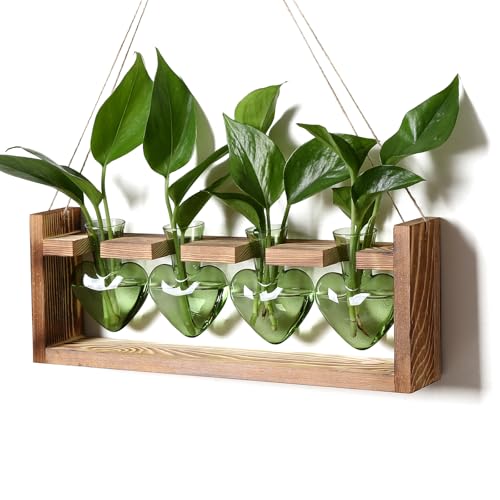 CYZglass Plant Propagation Stations Heart Plant Terrarium Kit Gift for Women Plant Lover Glass Vases