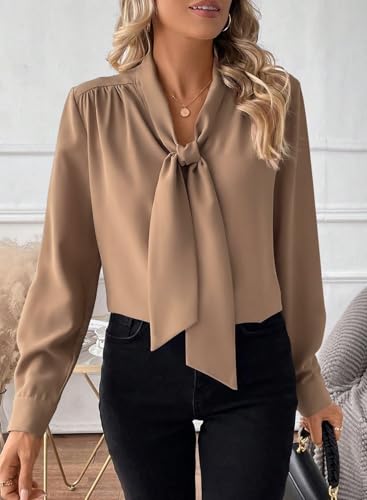Astylish Womens Dressy Casual Blouses Bow Tie Neck Long Sleeve Elegant Business Work Shirt Tops 5