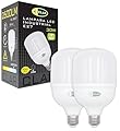 CLAR - Lampadina a LED E27 30W, Lampadina LED Potenti, Lampada LED E27, Luce Fredda 6000ºK (Pack 2)
