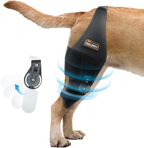 CHAMIN Dog ACL Knee Brace Support Osteoarthritis, Made with Premium Quality Neoprene(Right Leg,L)