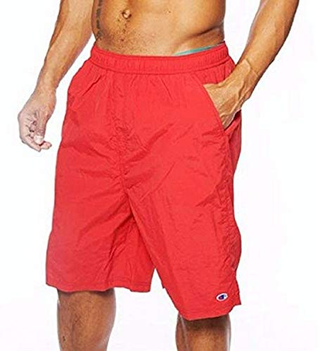Champion Men's Big and Tall Brushed MicroFiber Swim Shorts