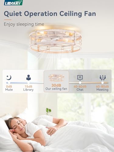 Image of LEDIARY 20 inch Caged Ceiling Fan with Light and Remote, Low Profile Flush Mount Fandelier, White Gold Bladeless Enclosed Small Fan Lights Ceiling Fixtures, Rustic Farmhouse Style for Bedroom, Outdoor