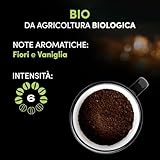 Pellini B01IBTAY02 lato 4