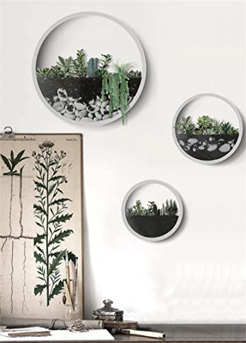 Round Metal Glass Wall Planters 3 Pack,Circle Iron Wall Vase Set,Modern Wall Flower Pots Wall Plant Holder Vertical Container Decor For Artificial Succulent,Herb,Cactus,For Balcony,Room,Patio,White #TOP5