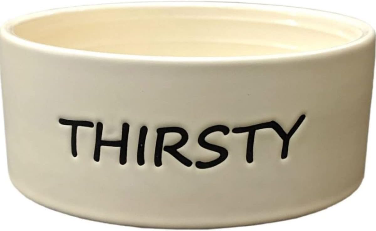 SPOT Ethical Pet Products 68058570: Bowl Thirsty Dog 5In